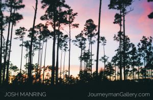 Josh Manring Photographer Decor Wall Arts - Florida Photography-156.jpg